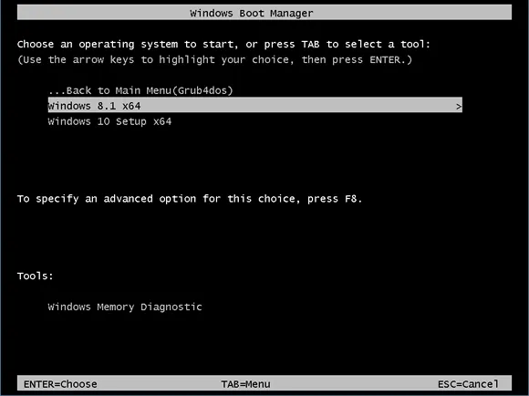 pendrive_multiboot_winsetup8