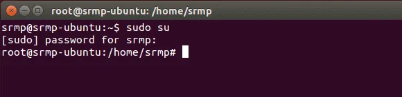 dualboot_ubuntu_windows_ubuntu09