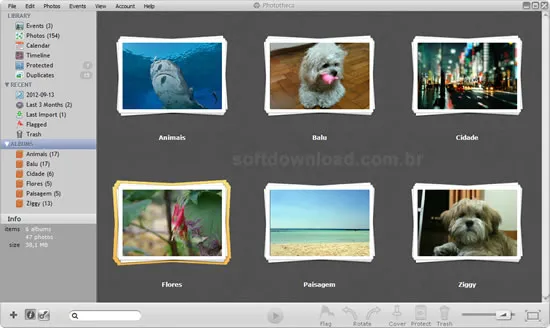 Organize as fotos armazenadas no computador