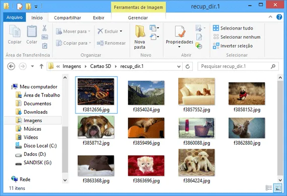 QPhotorec - Imagem 7